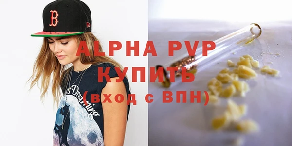 спиды Новозыбков
