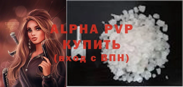 спиды Новозыбков