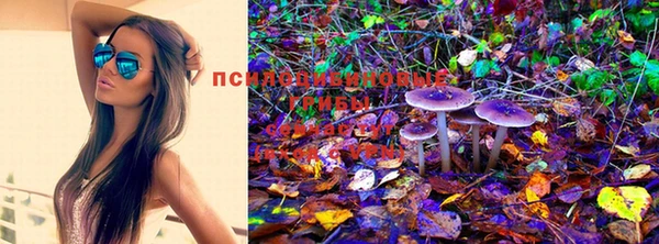 каннабис Нягань