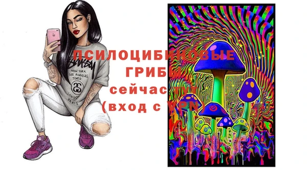 спиды Новозыбков