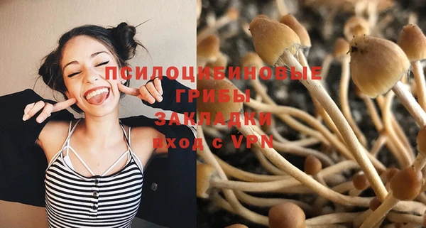 гашик Грязовец