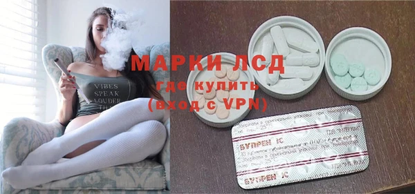 спиды Новозыбков