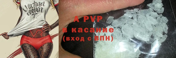 спиды Новозыбков