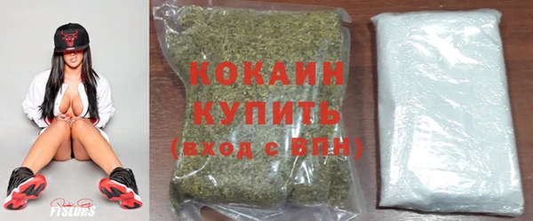 спиды Новозыбков