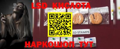 стафф Берёзовский