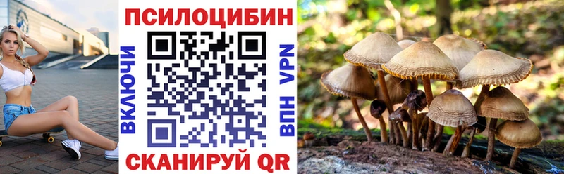 Галлюциногенные грибы MAGIC MUSHROOMS  даркнет как зайти  Заинск 