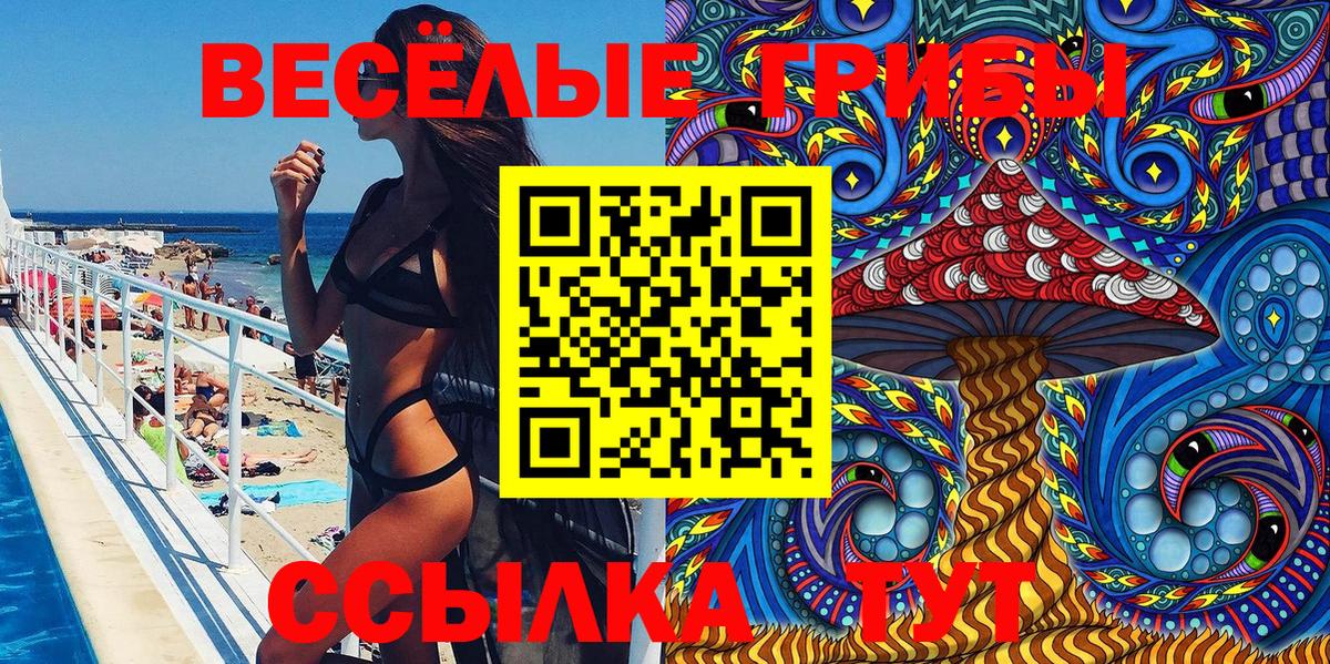 Заинск  Галлюциногенные грибы GOLDEN TEACHER  Вход с VPN 