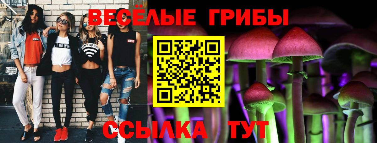 Галлюциногенные грибы Psilocybine cubensis  Заинск  Псилоцибиновые грибы GOLDEN TEACHER 