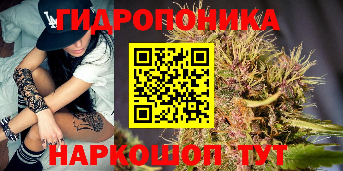 Бошки марихуана VHQ Заинск